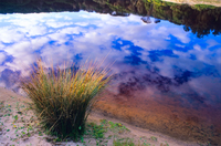 SC106 Saltwater Creek, Ben Boyd National Park NSW